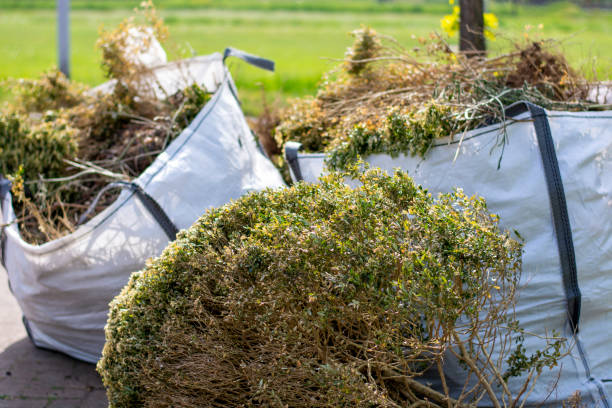 Best Commercial Cleanout Services  in Eclectic, AL